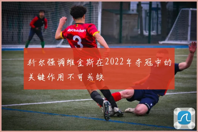 科尔强调维金斯在2022年夺冠中的关键作用不可或缺